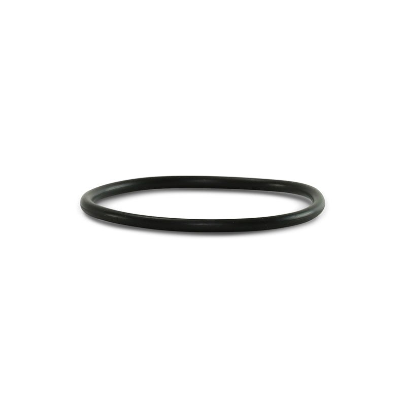 Check Valve O-ring, -125 — For FLOW A-0275-125